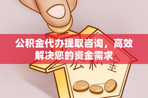 莱城公积金代办提取咨询，高效解决您的资金需求