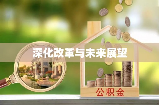 莱城深化改革与未来展望
