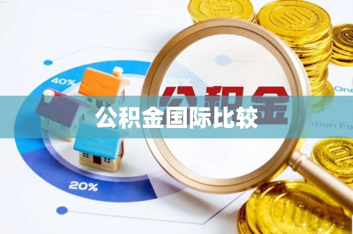 莱城公积金国际比较