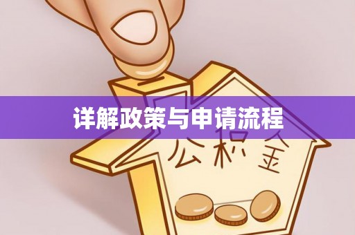 莱城详解政策与申请流程