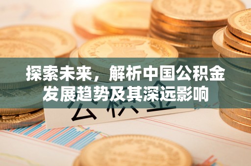 莱城探索未来，解析中国公积金发展趋势及其深远影响