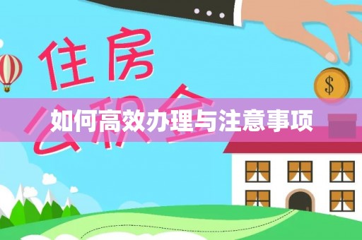 莱城如何高效办理与注意事项