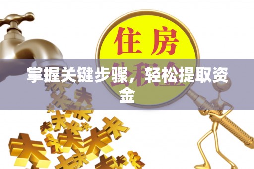 莱城掌握关键步骤，轻松提取资金