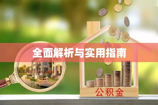莱城全面解析与实用指南