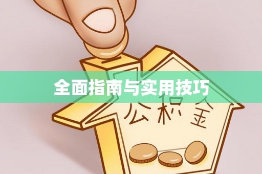 莱城全面指南与实用技巧