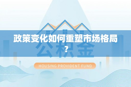 莱城政策变化如何重塑市场格局？