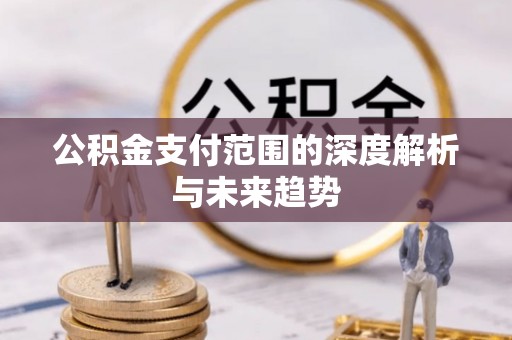 莱城公积金支付范围的深度解析与未来趋势