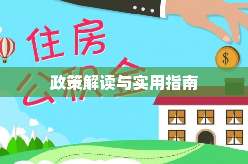 莱城政策解读与实用指南