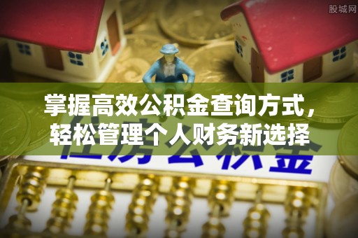 莱城掌握高效公积金查询方式，轻松管理个人财务新选择