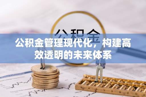 莱城公积金管理现代化，构建高效透明的未来体系