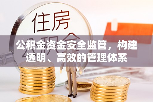 莱城公积金资金安全监管，构建透明、高效的管理体系