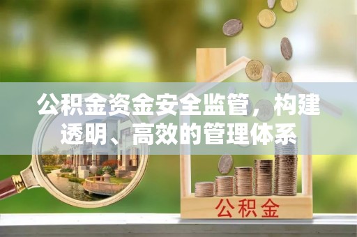 莱城公积金资金安全监管，构建透明、高效的管理体系