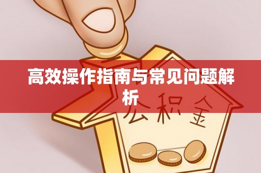 莱城高效操作指南与常见问题解析