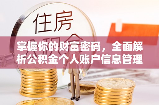 莱城掌握你的财富密码，全面解析公积金个人账户信息管理与优化