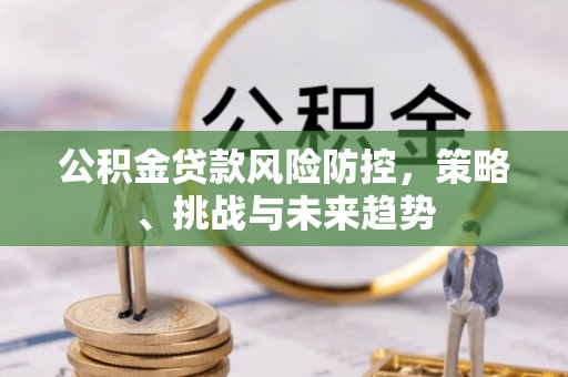 莱城公积金贷款风险防控，策略、挑战与未来趋势
