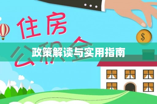 莱城政策解读与实用指南