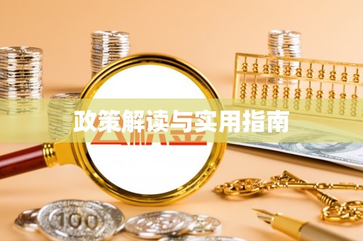 莱城政策解读与实用指南