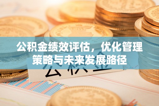 莱城公积金绩效评估，优化管理策略与未来发展路径