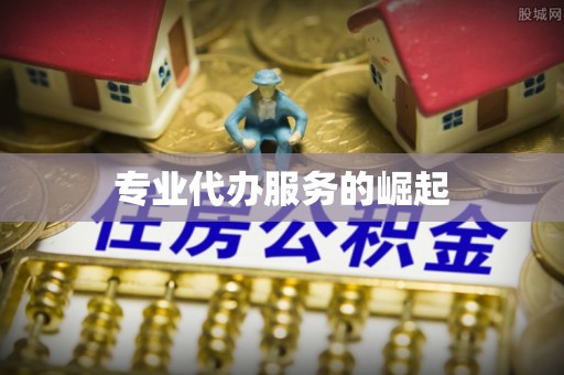 莱城专业代办服务的崛起