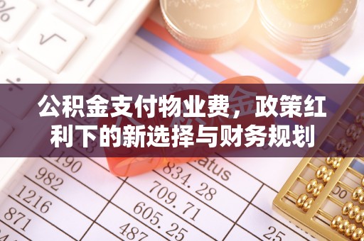 莱城公积金支付物业费，政策红利下的新选择与财务规划