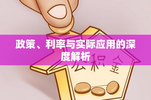 莱城政策、利率与实际应用的深度解析