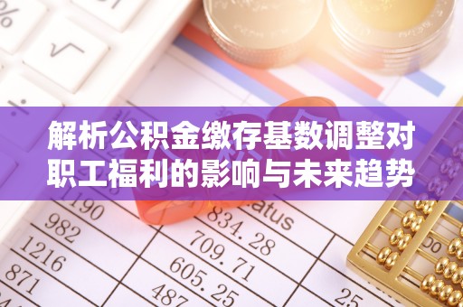莱城解析公积金缴存基数调整对职工福利的影响与未来趋势