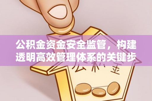 莱城公积金资金安全监管，构建透明高效管理体系的关键步骤