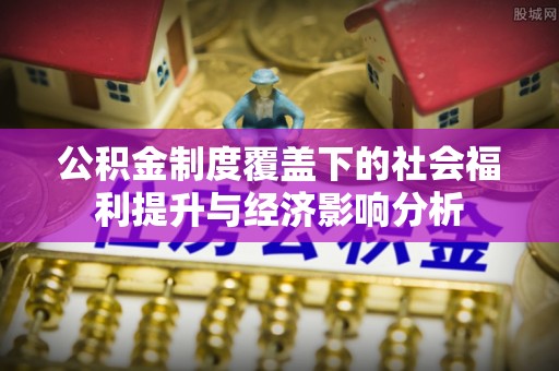 莱城公积金制度覆盖下的社会福利提升与经济影响分析