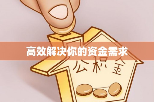 莱城高效解决你的资金需求
