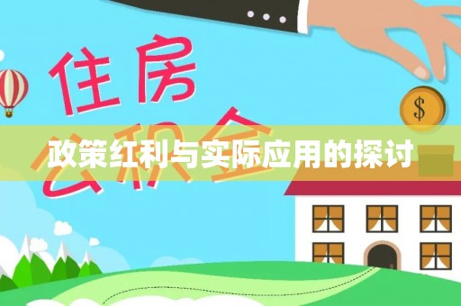 莱城政策红利与实际应用的探讨