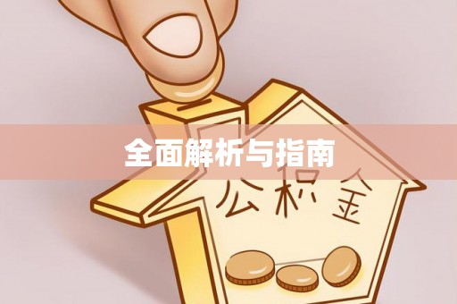 莱城全面解析与指南