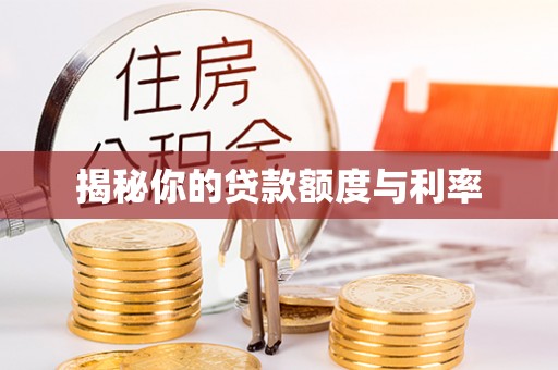 莱城揭秘你的贷款额度与利率