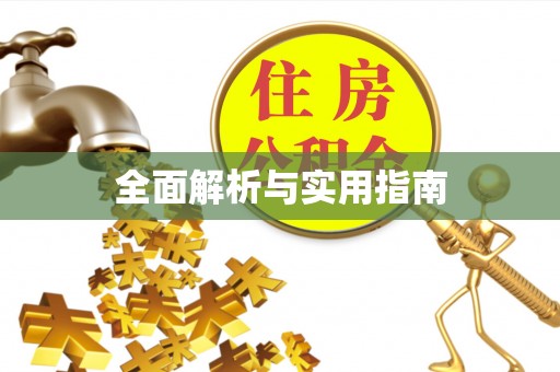 莱城全面解析与实用指南