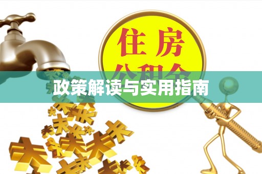 莱城政策解读与实用指南
