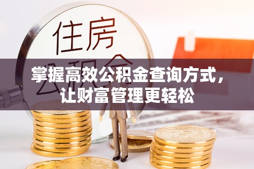 莱城掌握高效公积金查询方式，让财富管理更轻松
