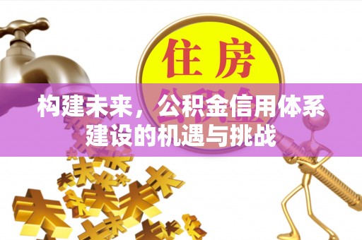 莱城构建未来，公积金信用体系建设的机遇与挑战