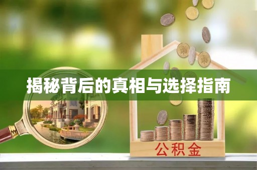 莱城揭秘背后的真相与选择指南