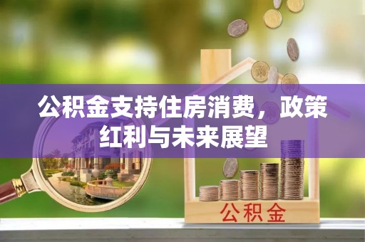 莱城公积金支持住房消费，政策红利与未来展望