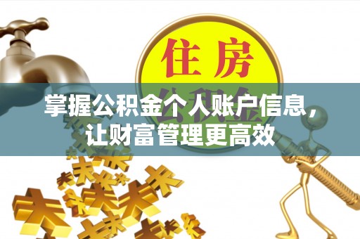 莱城掌握公积金个人账户信息，让财富管理更高效