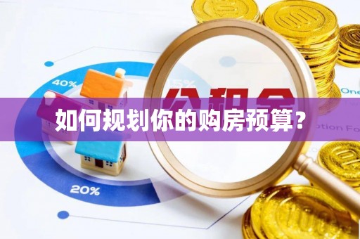 莱城如何规划你的购房预算？