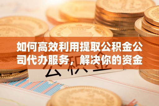 莱城如何高效利用提取公积金公司代办服务，解决你的资金难题