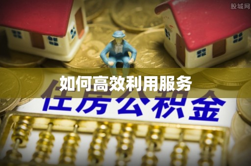 莱城如何高效利用服务