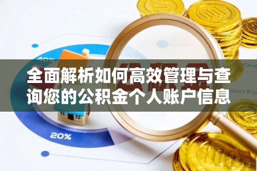 莱城全面解析如何高效管理与查询您的公积金个人账户信息