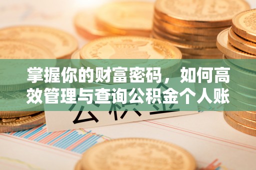 莱城掌握你的财富密码，如何高效管理与查询公积金个人账户信息