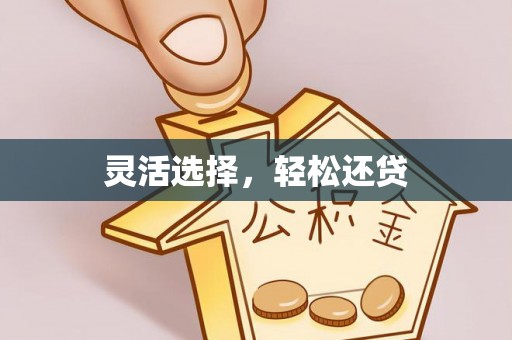 莱城灵活选择，轻松还贷