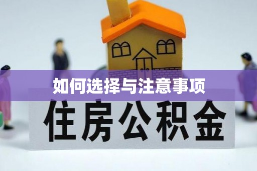 莱城如何选择与注意事项