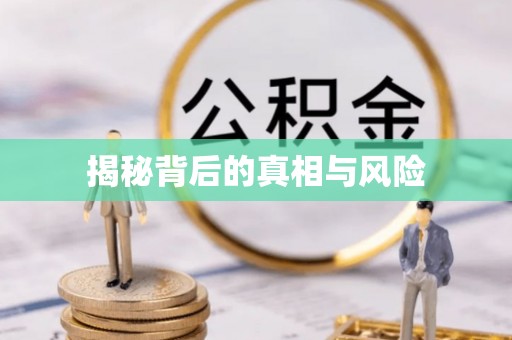 莱城揭秘背后的真相与风险