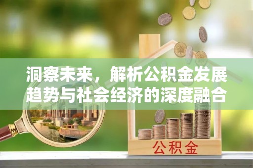 莱城洞察未来，解析公积金发展趋势与社会经济的深度融合