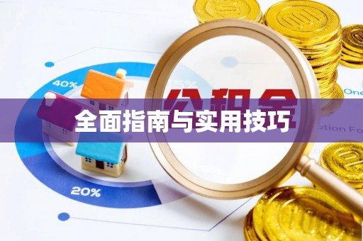 莱城全面指南与实用技巧