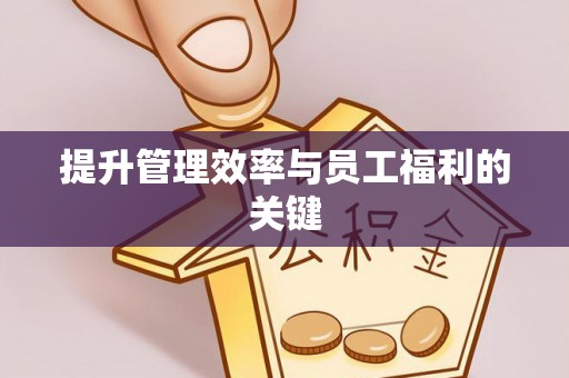 莱城提升管理效率与员工福利的关键